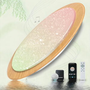 KazvincitaLEDV[OCg6840WalexaΉBluetoothXs[J[APPRFRGBRtyĐ^C}[XCb`@\铔[hꂨȒP