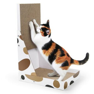 NATUYALp܂Ƃi{[܌߂ƂLbg64cmc^Lp܂Ƃpbh