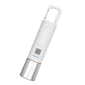 dledCgPxXPECgLp180xCOBƓY[4-hType-C[deʓdrhHyʔɃtbNtgѕ֗ƖނoROdh