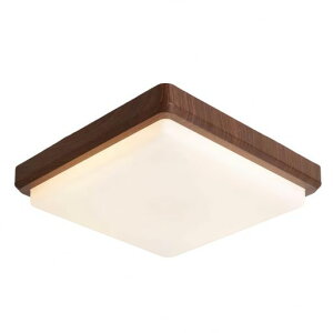 jiaqihong5 LED�V�[�����O���C�g �a�� 8��30W �ؖڒ� ������� �V��Ɩ� �a���_�� �Ɩ���� �p�^ �l�p led �a���p ���i�K�������F �����F �d���F���H ���͋C�i�C�g���C�g�����R���t�� ��铔���c