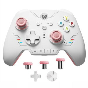 PC �R���g���[���[�ABIGBIG WON Rainbow 2 SE ���C�����X �R���g���[���[ ���[�V���� �R���g���[���A�z�[�����ʃg���K�[�A12 �r�b�g ADC�A�W���C�X�e�B�b�N 3 �Z�b�g�A4�����\���L�[�A8�����\���L�c