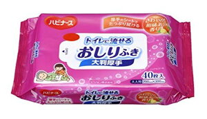 gCɗ邨ӂ唻nri[X40lpҊkn̍mAR[200x300mm{1005634