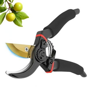 y2025lCtEEvmďCzoT~SK5Yf|΂ݒs؂ꖡϋv5{yʃA~KтɂtbfHObvɂlԍHw݌vgc