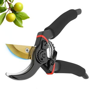 y2025lCtEEvmďCzoT~SK5Yf|΂ݒs؂ꖡϋv5{yʃA~KтɂtbfHObvɂlԍHw݌vgc