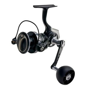 AbuGarcia (�A�u�K���V�A) Roxani SP 3000MSH ���L�T�[�j �X�s�j���O���[�� 24�N���f��