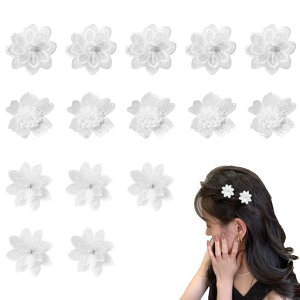 PAVIKE[XwANbv(15Zbg)ԃwAsԃwANbvwAANZT[[XhJ{NbvԔONbvp[eB[q\azCg