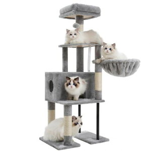 HeyblyLbg^[X125cmȃXy[XL^[萫W]_炩nbNu^CvVU܂Ƃ|[CgO[HCT200SW