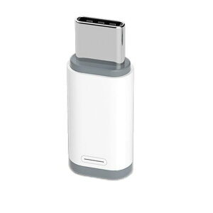 KPNS ���C�g�j���O �^�C�vc �ϊ� (1�Z�b�g) PD35W�}���[�d, 480Mbps�����Ńf�[�^�]��, Light-ning typec �ϊ��A�_�v�^ for iPhone 15�V���[�Y Galaxy S23 Note 20 iPad Pro