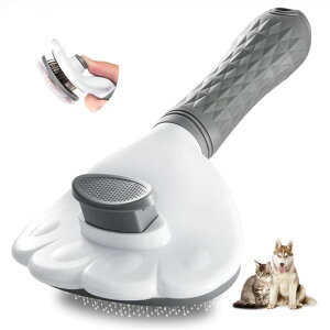 LOYALSEALuVubVOybgpuVXbJ[uVLvbVŖюuV}bT[W~ߑϋvяꂽт菜ɗDLʒc