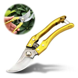 PAVIKEoT~}؂΂݃K[fjO}؂͂ݖ~͒؉ʎ|pnT~}ؙƒ؉XeXyʏ^bNt}؂₷