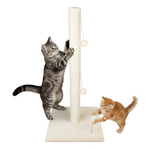 OYANTENL܌|[߂ƂL܂ƂJXoȂO{[tbNX^sXgXGlM[UgȒP\RpNg݌vx[WM[