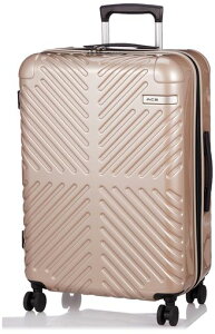 ACE(G[X)X[cP[XmTCY344557LoփLX^[4.1kgfBANo.06972x[W