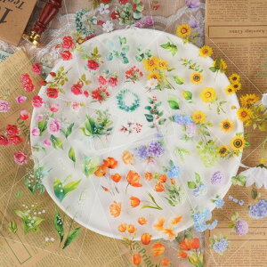 DradoR[WV[ԃt[NV[lߍ킹ԕʖ588PETЂ܂AzԂꓧoh蒠pDIYfR6