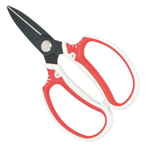 gAtbfR[gnfB[Xp195mmSGP-30