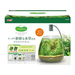 WFbNXMeGreenVNȐtOXANAeBA[ZbgՂ̐(ʑ)͂ZbgLEDƍt20xs20x20cm4L