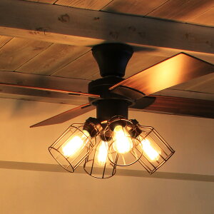 WoGt JAVALO ELF V[Ot@Cg Ɩ 4 Rt  IV y LEDΉ rOp _CjOp Ɩ VƖ C_XgA g ubN  JE-CF