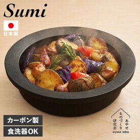 スミ Sumi 鍋 炭鍋 万能鍋 22cm IH対応 フッ素コーティング 耐熱 日本製 赤外線 SUMI NABEJAYS-AS-1001 アウトドア
