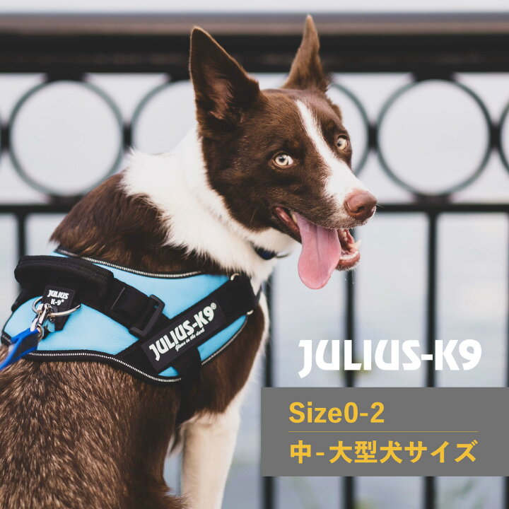 楽天市場】Julius-K9 ユリウスK9 ハーネス IDCパワーハーネス ベルト 