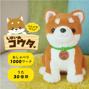 ׂp[gi[ ɔ]g Fl` b ׂ胍{bg ׂ   ybg ׂ ΂ʃRE^ 11-03-001