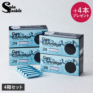 SodaSparkle \[_Xp[N J[gbW 100{ Y_[J[ }`Xp[N3 p W[X  Xp[NO C 4Zbg MS3-24