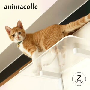 animacolle Aj}R LbgXebv Lbg^[ { S Ǖt I  L ˂ RpNg DIY zCg NA 