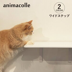 animacolle Aj}R LbgXebv Lbg^[ ChXebv { S Ǖt I  L ˂ RpNg DIY zCg NA 