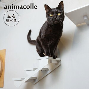 animacolle Aj}R LbgXebv Lbg^[ Lbg_[ /E { S Ǖt I  L ˂ RpNg DIY zCg 