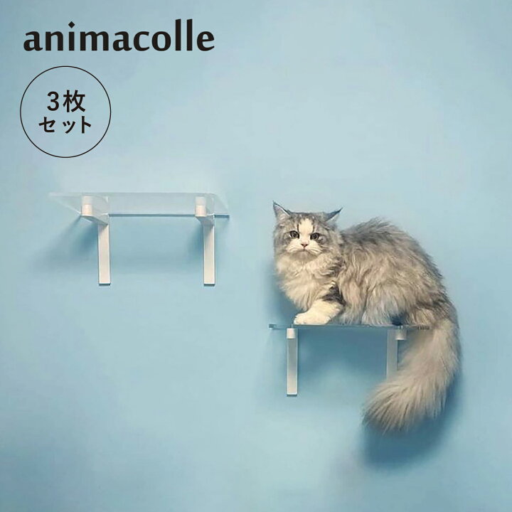 楽天市場】animacolle アニマコレ キャットステップ 3枚セット 