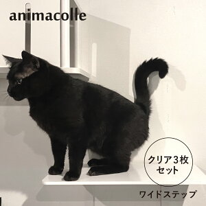 animacolle Aj}R LbgXebv Lbg^[ ChXebv 3Zbg { S Ǖt I  L ˂ RpNg DIY NA 700010