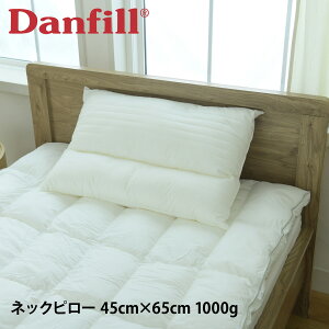 Danfill _tB   Q tbV lbNs[ 􂦂 ې􂢑Ή ʋC zedl EHbVu JPA211