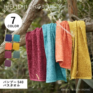 yő1000~OFFN[|sz CPE`I[KjbN IKEUCHI ORGANIC ^I oX^I ou[540  唻 炩 z { BAMBOO 540 lCr[ Cbh O[ IW p[