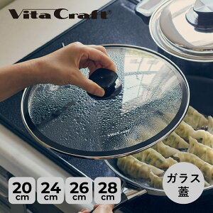 Vita Craft �r�^�N���t�g �K���X�W 20cm 24cm 26cm 28cm �Ή� �t���C�p���J�o�[ ��W GLASS LID 3110 3114 3116 3118