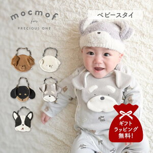 Nt mocmof 悾ꂩ X^C | xr[ LbY j̎q ̎q Ԃ   񂱃X^C 622-576207 y[ցz