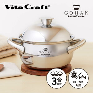 yTtz Vita Craft r^Ntg ͂   ی` [ 2L IH KXΉ A~ XeX Vo[ NO.3850