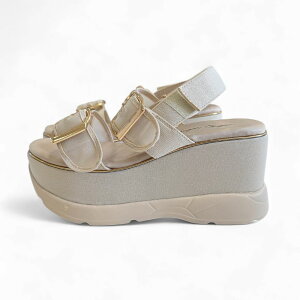 y35%N[|!!|Cg10{!!z11/24-25 48ԌN[|zz!!yzT_ fB[X  Xj[J[\[ VA[T_ I[KW[ xg  EGbW\[ X|[