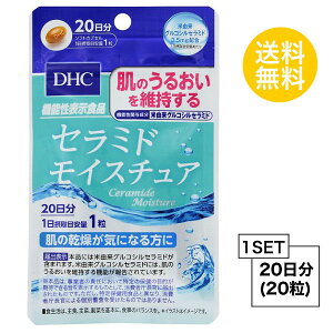 yubNtCf[ P5{z Z~h CX`A 20 i20j fB[GC`V[ Tvg ORVZ~h R[Q NHi ^Cv y@\\Hiz