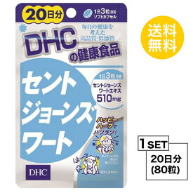 【お試しサプリ】 DHC セントジョーンズワート 20日分 （80粒） ディーエイチシー サプリメント セントジョーンズワート フラボノイド ヒペリシン 粒タイプ