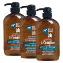 【マラソン中 P5倍】 【在庫処分】 【3個セット】 馬油リンスインシャンプー 600mL ×3セット 馬油 リンス シャンプー ノンシリコン 保湿 しっとり うるおい コスメステーション