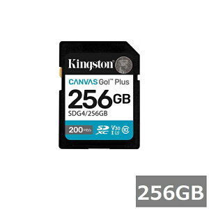 y}\ P5{z LOXg SDJ[h SDXC SDG4 256GB Canvas Go! Plus Kingston SDXCJ[h SDJ[h UHS-I J X}z sAi