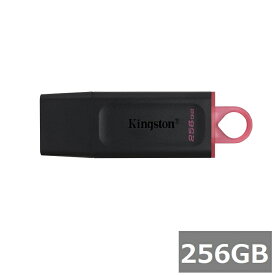 キングストン USBメモリ DTX/256GB DataTraveler Exodia 256GB Kingston USBフラッシュドライブ USB3.2 PC パソコン ドキュメント 音楽 ビデオ 並行輸入品