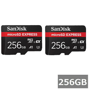 y_tf[ Si P5z y2Zbgz Sandisk microSD ExpressJ[h 256GB SDSQXFN-256G-GN4NN TfBXN }CNSDXCJ[h microSDJ[h microSD GNXvX Q[ f[^] sAi