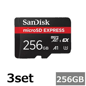 y_tf[ Si P5z y3Zbgz Sandisk microSD ExpressJ[h 256GB SDSQXFN-256G-GN4NN TfBXN }CNSDXCJ[h microSDJ[h microSD GNXvX Q[ f[^] sAi
