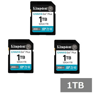【マラソン中 P5倍】 【3セット】 キングストン SDカード SDXC SDG4 1TB Canvas Go! Plus Kingston SDXCカード SDカード UHS-I カメラ スマホ 並行輸入品