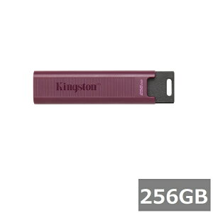 �L���O�X�g�� USB������ 256GB DTMAXA/256GB DataTraveler Max USB 3.2 Gen 2 Kingston Type-A USB�������[ �������X�e�B�b�N �O�o �p�\�R�� PC �����^�� ���s�A���i