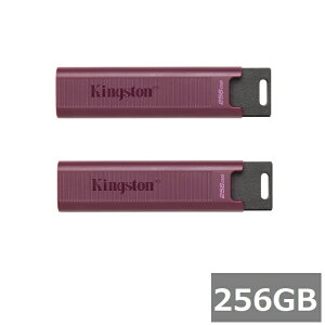 �y2�Z�b�g�z �L���O�X�g�� USB������ 256GB DTMAXA/256GB DataTraveler Max USB 3.2 Gen 2 Kingston Type-A USB�������[ �������X�e�B�b�N �O�o �p�\�R�� PC �����^�� ���s�A���i