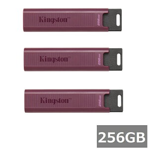�y3�Z�b�g�z �L���O�X�g�� USB������ 256GB DTMAXA/256GB DataTraveler Max USB 3.2 Gen 2 Kingston Type-A USB�������[ �������X�e�B�b�N �O�o �p�\�R�� PC �����^�� ���s�A���i