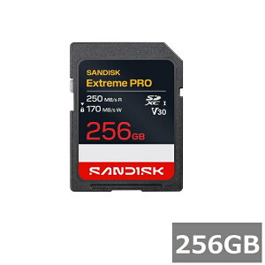 �T���f�B�X�N SD�J�[�h SDXC SDSDXXJ-256G-GSCIN Extreme PRO 256GB Sandisk SDXC�J�[�h �r�f�I�B�e 4K �t��HD �^�� UHS-I �J���� ���s�A���i