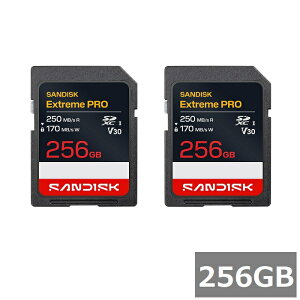 �y2�Z�b�g�z �T���f�B�X�N SD�J�[�h SDXC SDSDXXJ-256G-GSCIN Extreme PRO 256GB Sandisk SDXC�J�[�h �r�f�I�B�e 4K �t��HD �^�� UHS-I �J���� ���s�A���i