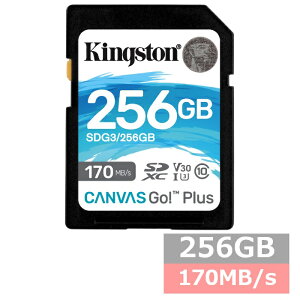 yX[p[SALE P5{z LOXg SDJ[h SDXC SDG3 256GB Canvas Go! Plus SDkingston SDXCJ[h Class10 UHS-I U3/V30 J fWJ rfIJ p\R sAi