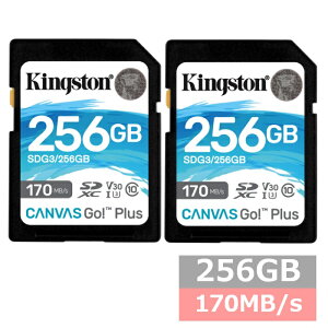 yX[p[SALE P5{z y2Zbgz LOXg SDJ[h SDXC SDG3 256GB Canvas Go! Plus SDkingston SDXCJ[h Class10 UHS-I U3/V30 J fWJ rfIJ p\R sAi